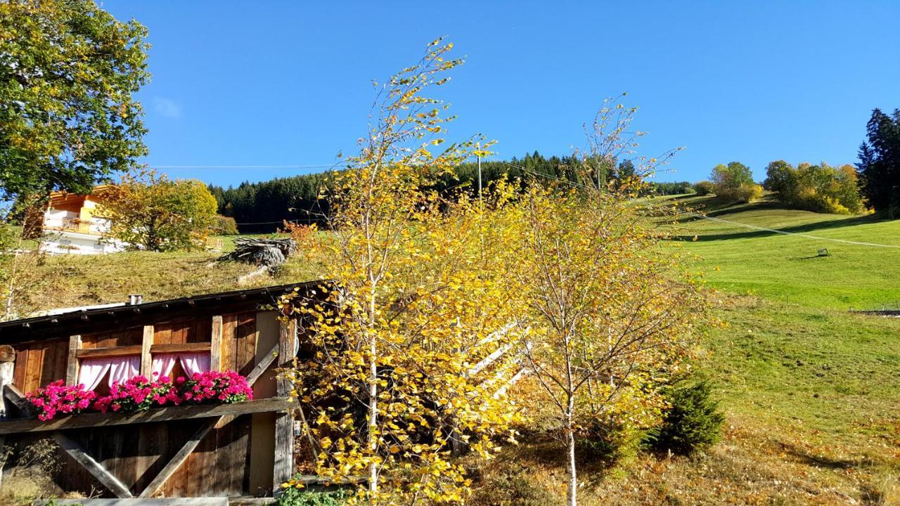 Pension Verdinserhoehe Schenna Exterior photo